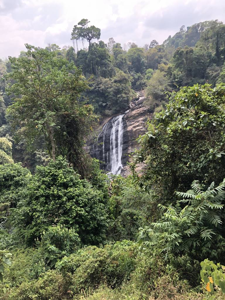 Kerrala montagnes (47)