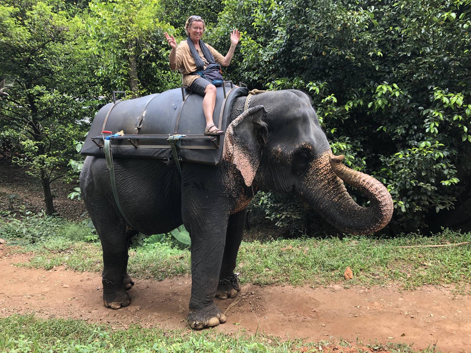 Kerrala montagnes (50)