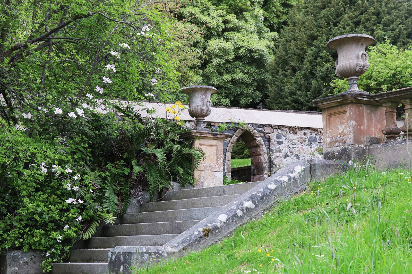 Castelwellan Arboretum (10) Castelwellan Arboretum (10)