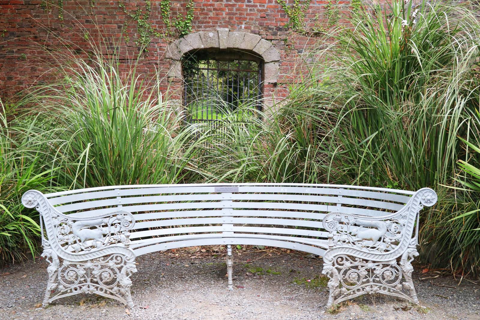 Castelwellan Arboretum (17) Castelwellan Arboretum (17)