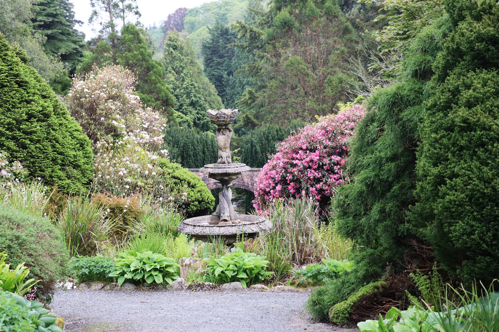 Castelwellan Arboretum (18) Castelwellan Arboretum (18)