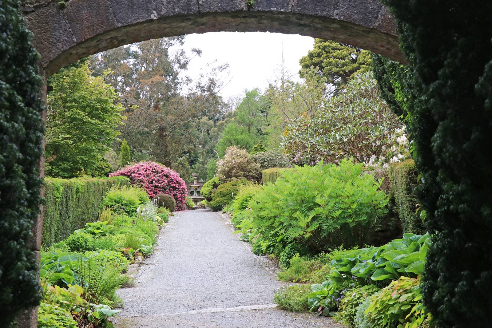 Castelwellan Arboretum (8) Castelwellan Arboretum (8)