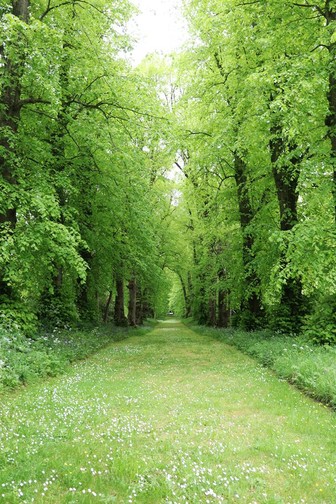 Hillsborough castle garden (13)