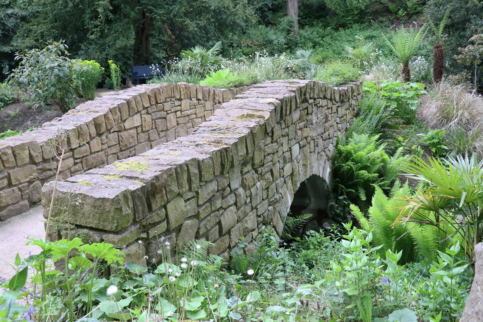 Hillsborough castle garden (20)