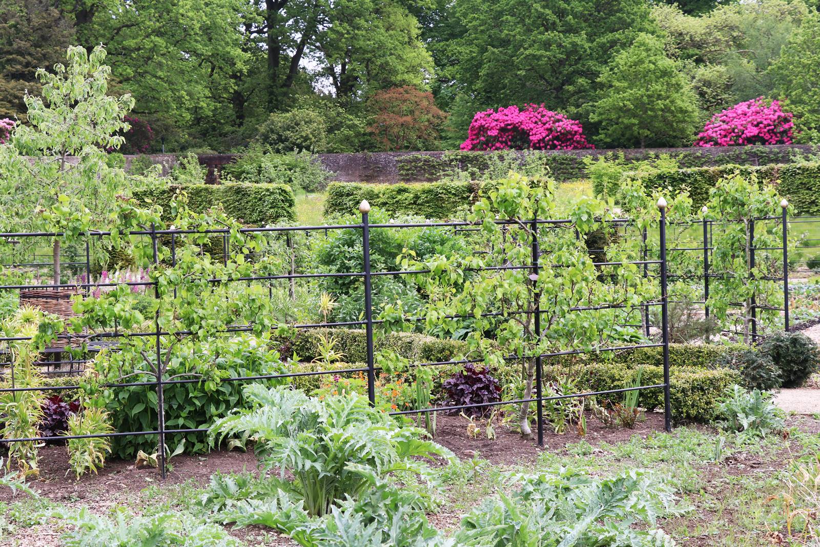 Hillsborough castle garden (5)