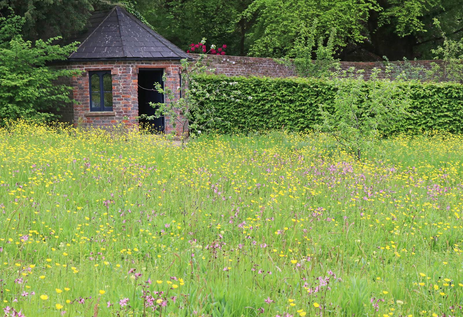 Hillsborough castle garden (9)