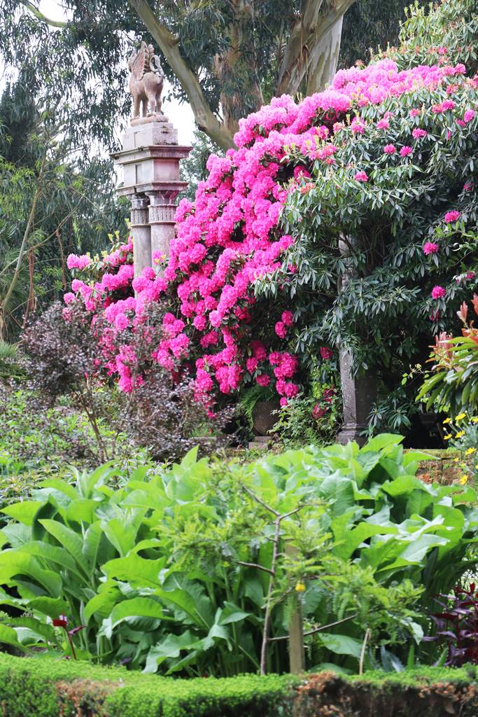 Irlande du Nord Mount Stewart (13)