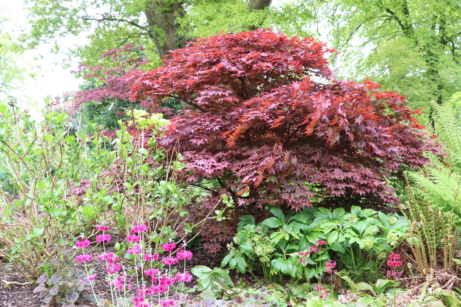 Montalto Estate (10)