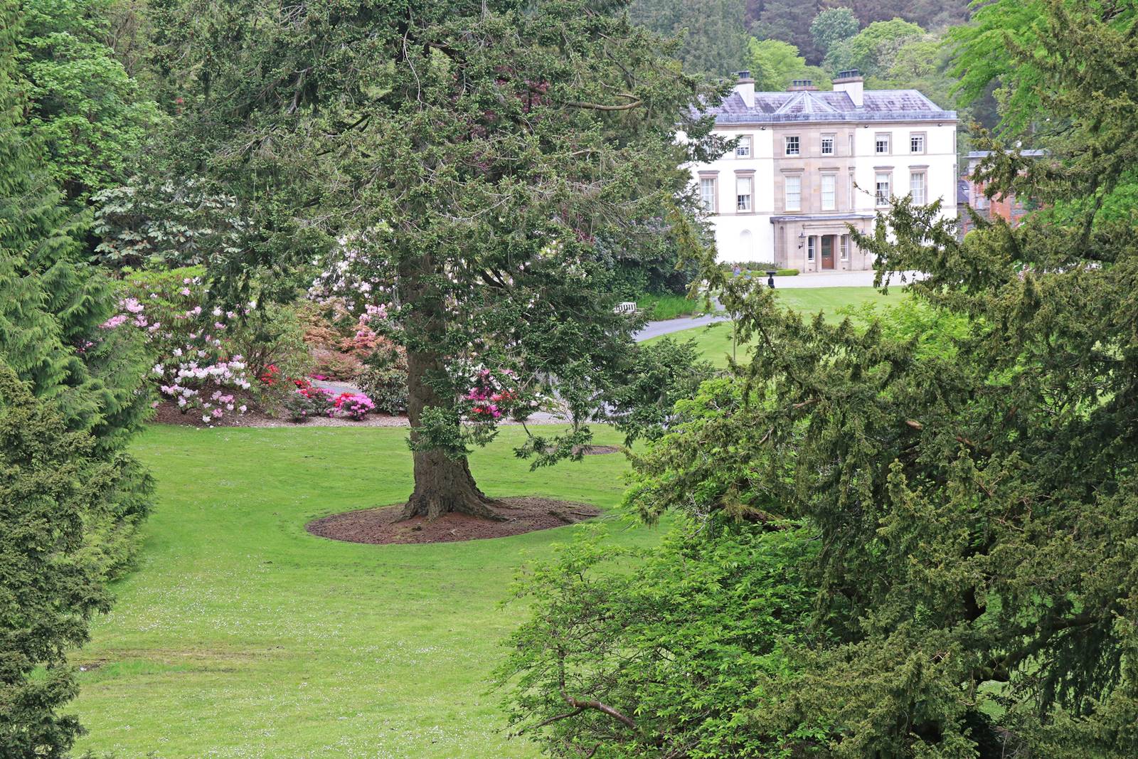 Montalto Estate (16)