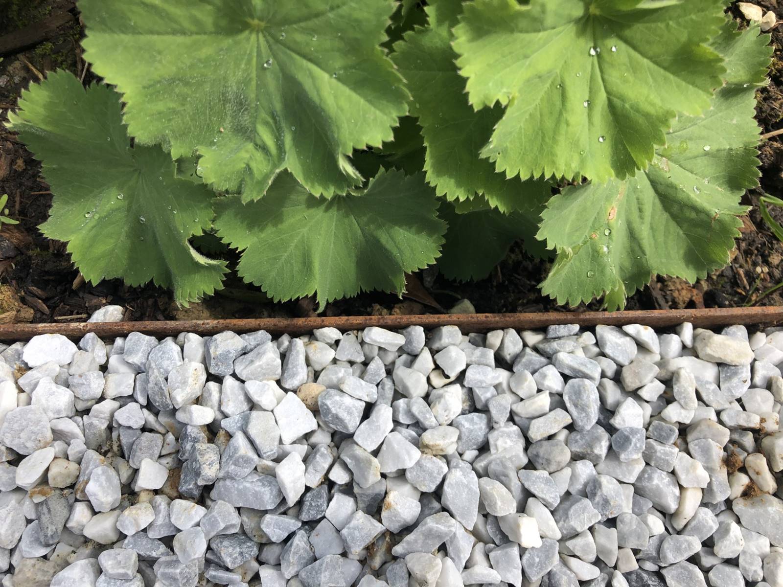 gravier pratique (32)