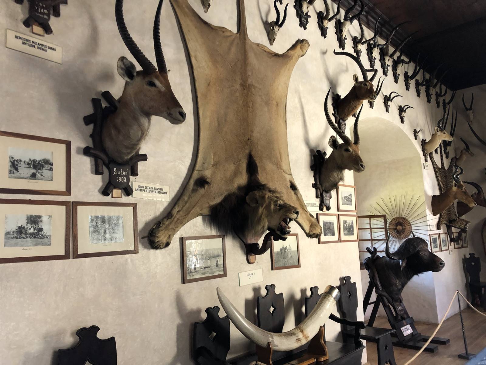 Château de Telc (13) Château de Telc (13)