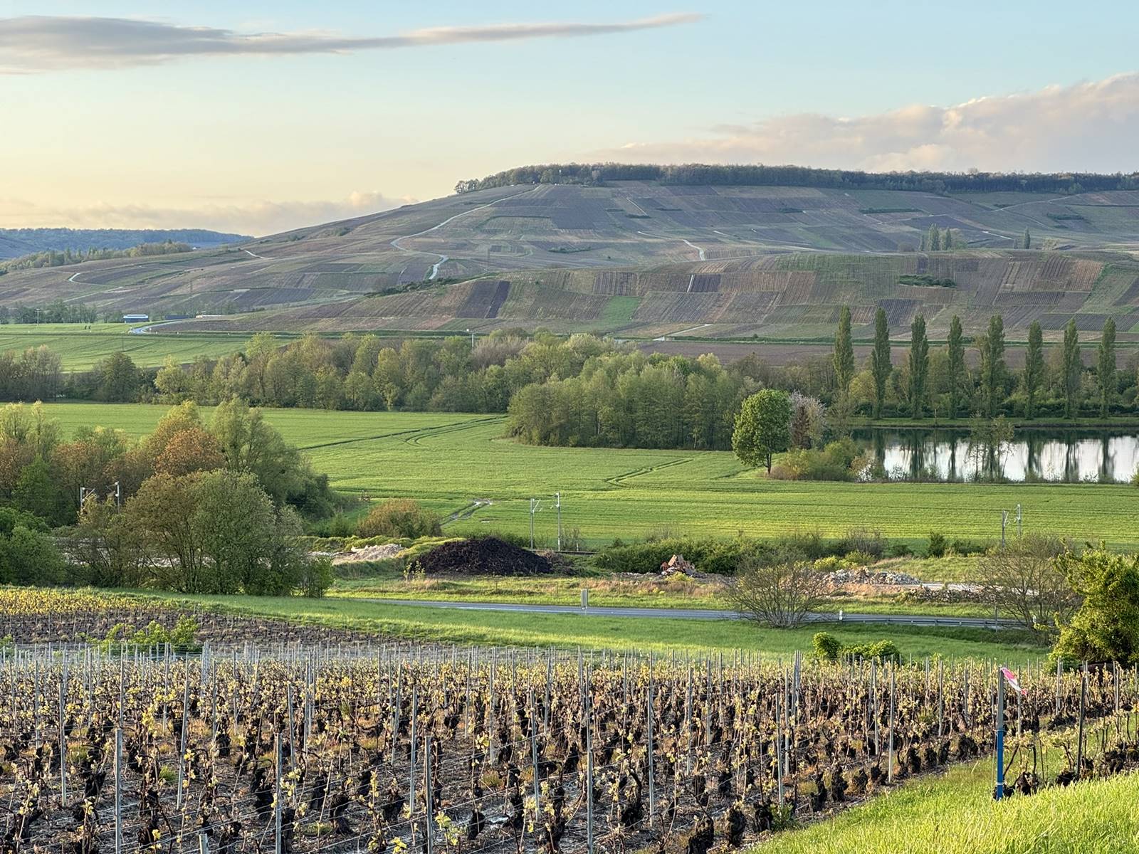 Montagne de Reims (14)