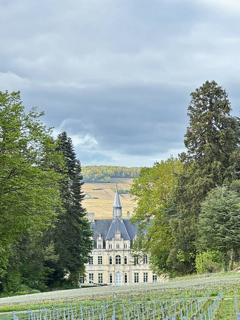 Montagne de Reims (9)