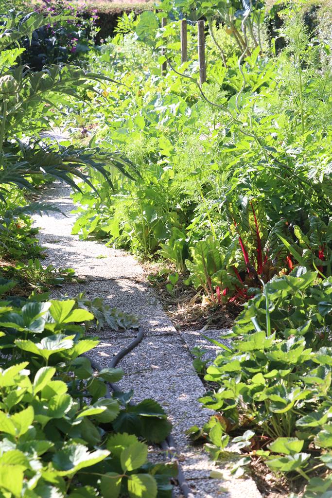 Potager Stéphanie de Theux (32)