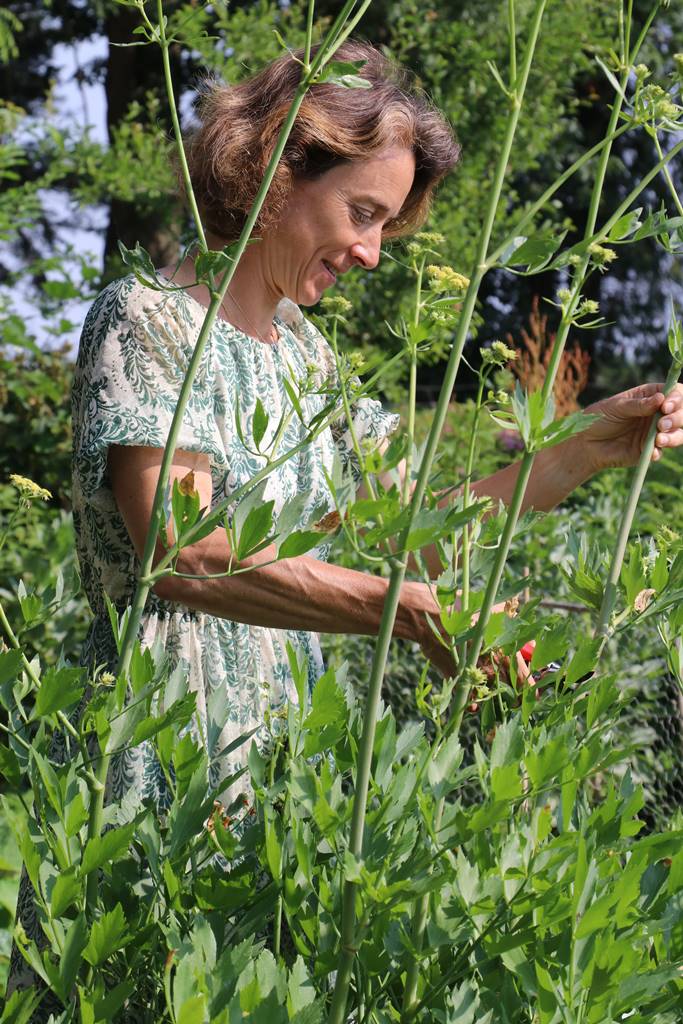 Potager Stéphanie de Theux (37)