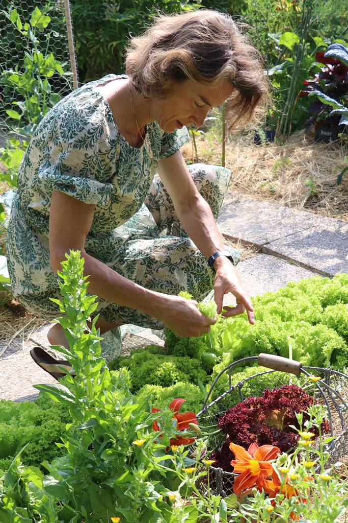 Potager Stéphanie de Theux (40)