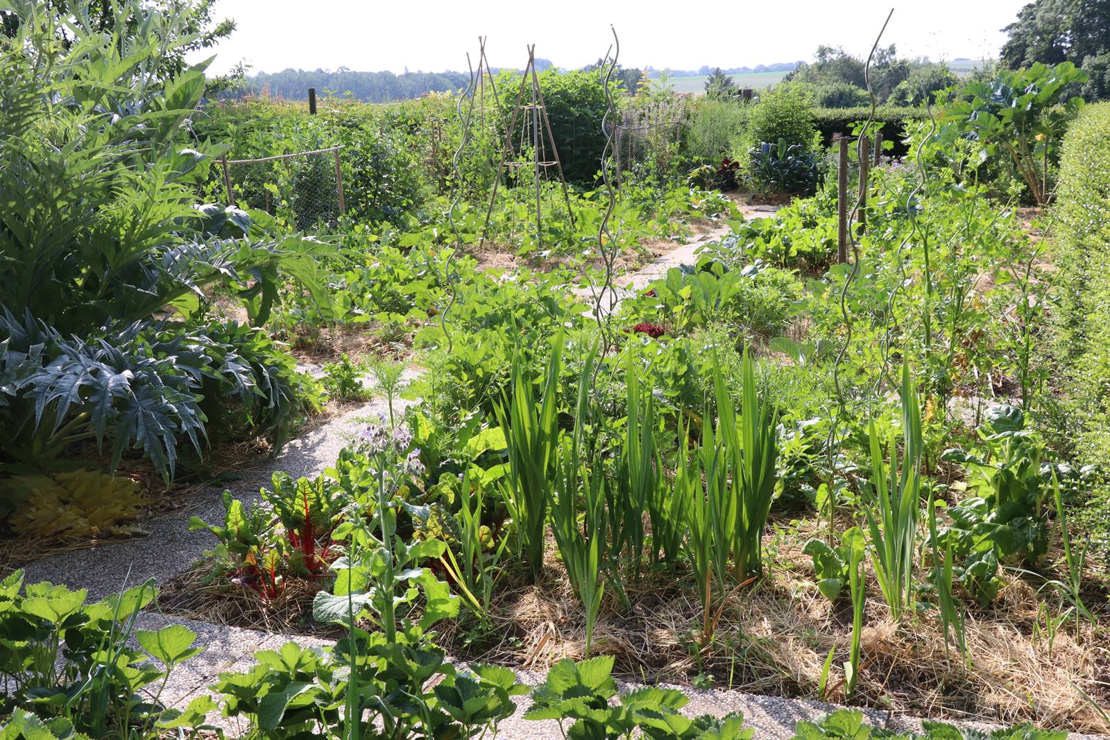 Potager Stéphanie de Theux (5)