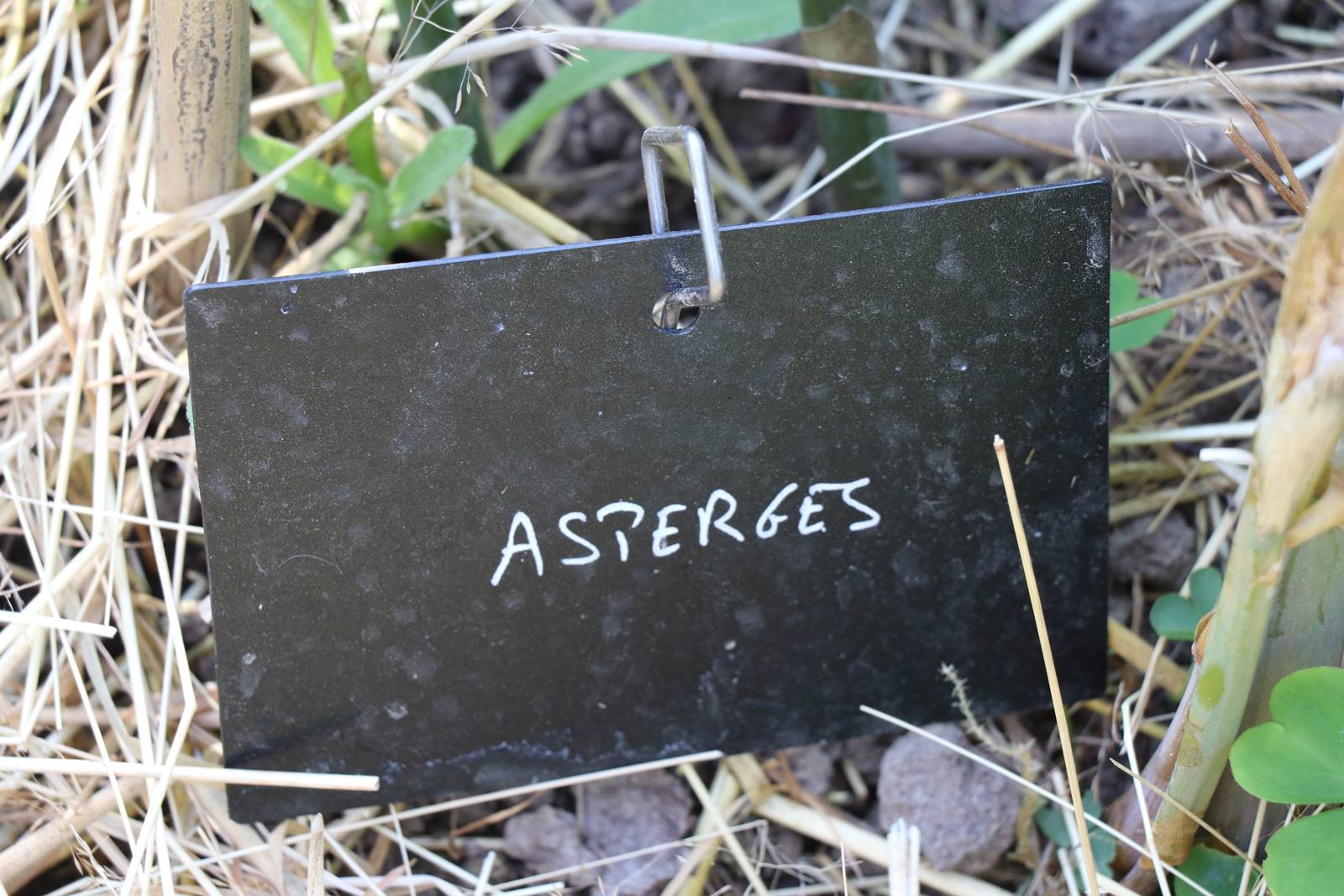 Potager Stéphanie de Theux (9)