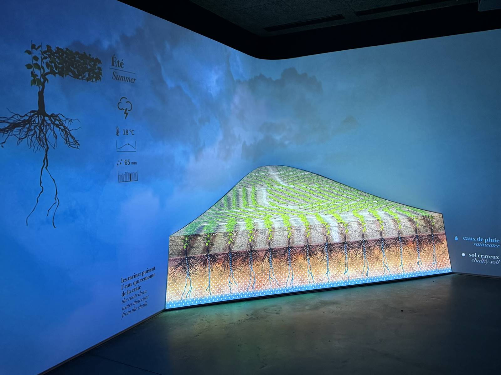 Pressoria (5) Pressoria (5)