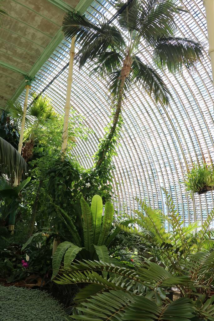 Tchequie Serre de Lednice (14)