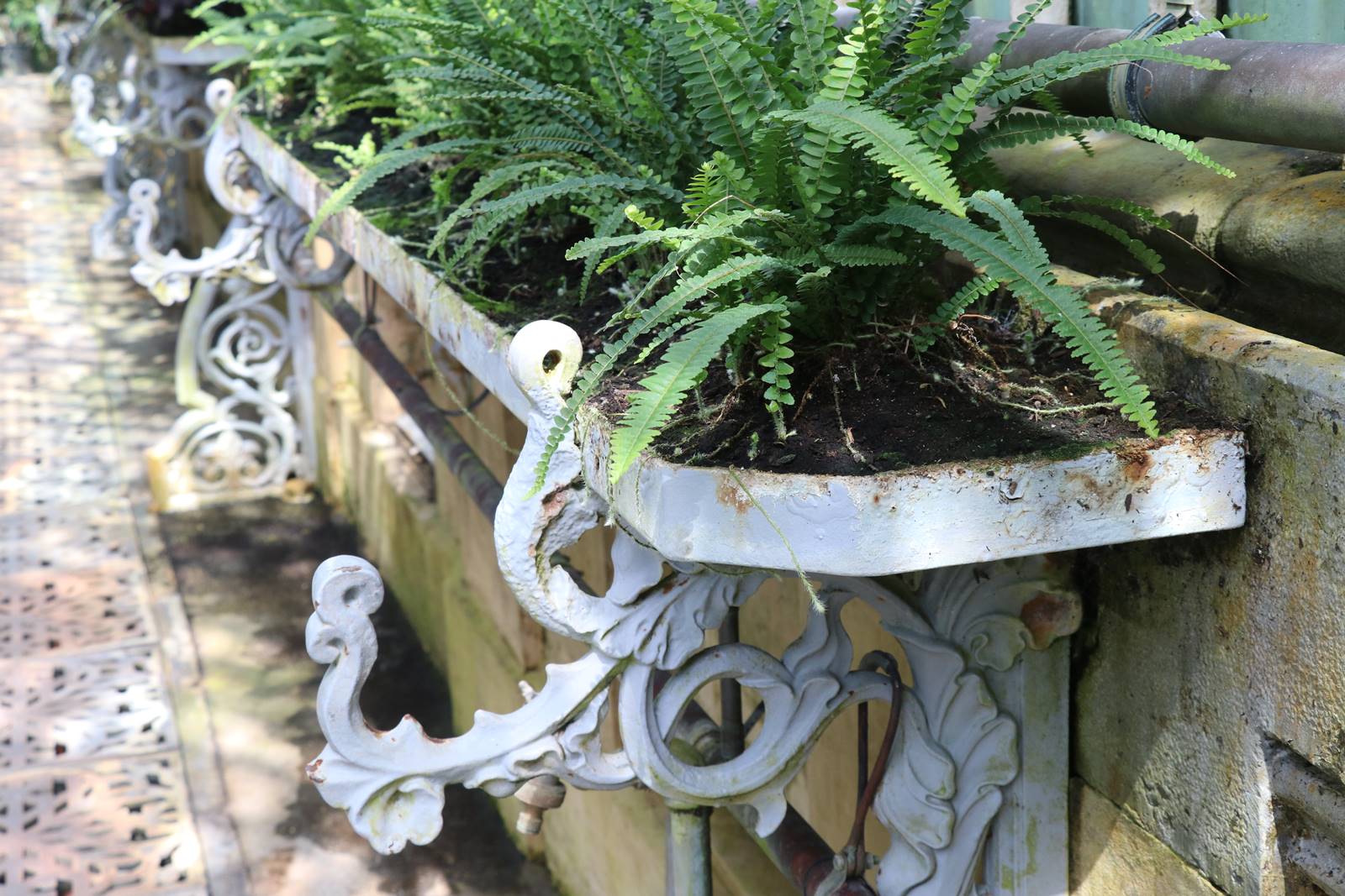 Tchequie Serre de Lednice (25)