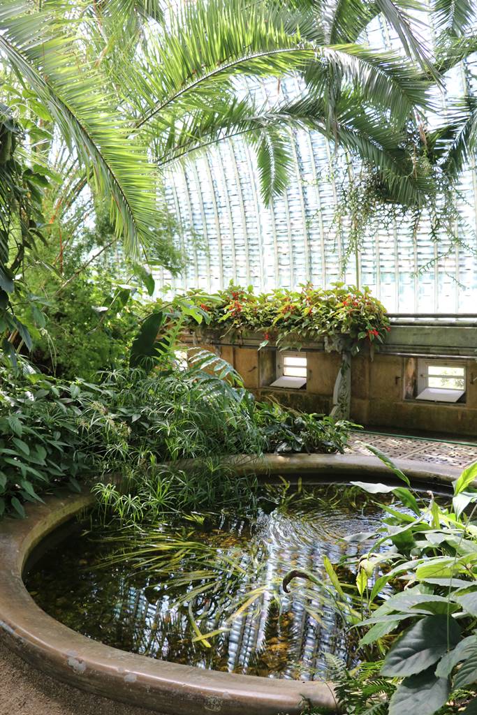 Tchequie Serre de Lednice (27)