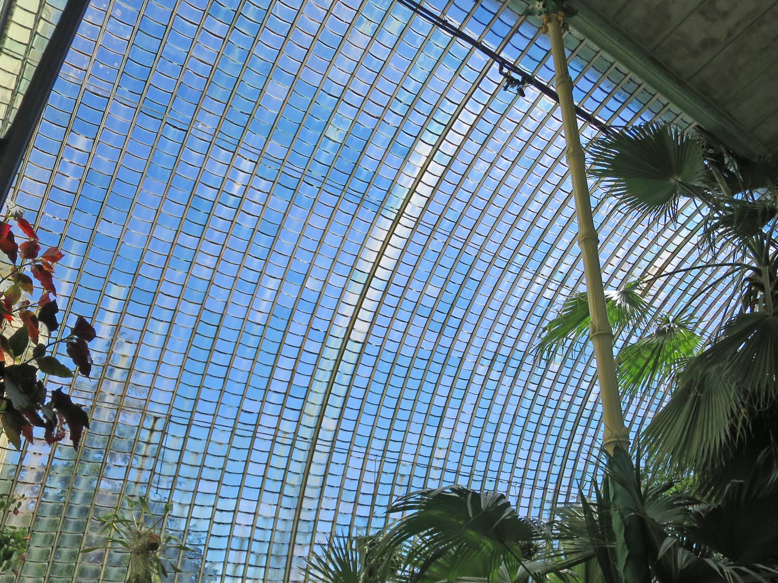 Tchequie Serre de Lednice (7)