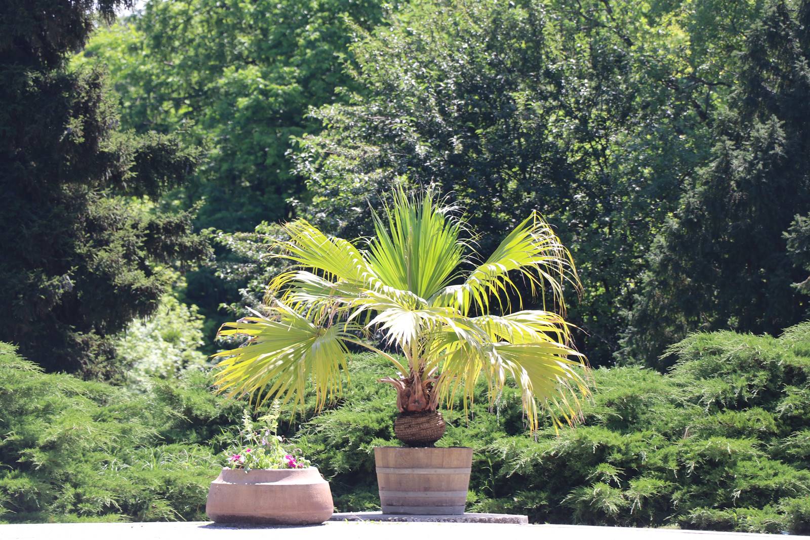 Tchéquie château de Lednice (43)