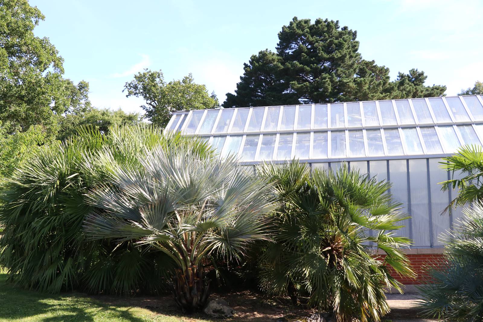 Fête des plantes Nantes (13)