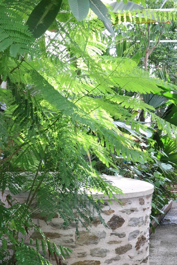 Fête des plantes Nantes (34)