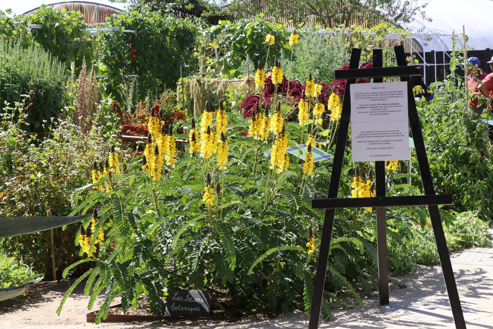 Fête des plantes Nantes (40)