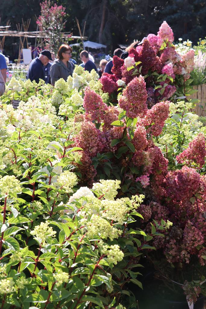 Fête des plantes Nantes (6)