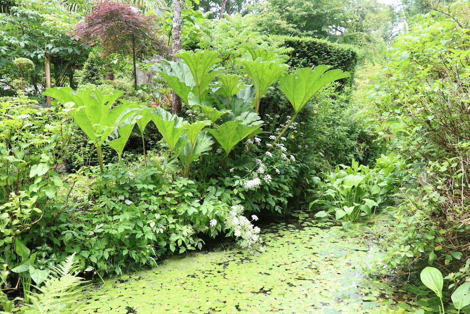 Jardin Petit Bordeaux (32)
