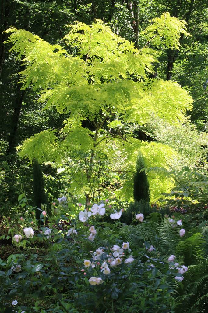 Jardin Petit Bordeaux (57)