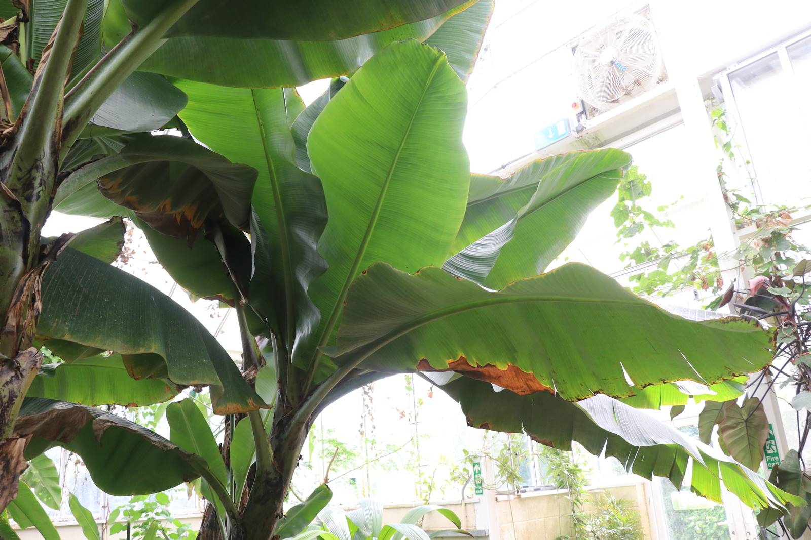 National Botanic Garden of Wales (19) National Botanic Garden of Wales (19)