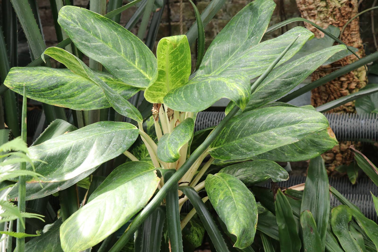 National Botanic Garden of Wales (20) National Botanic Garden of Wales (20)