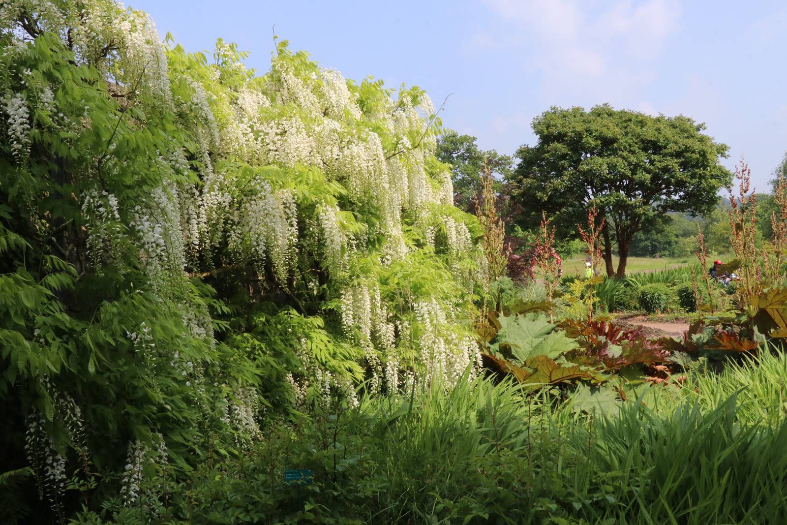 National Botanic Garden of Wales (27) National Botanic Garden of Wales (27)