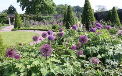 Aberglasney Garden, Pays de Galles