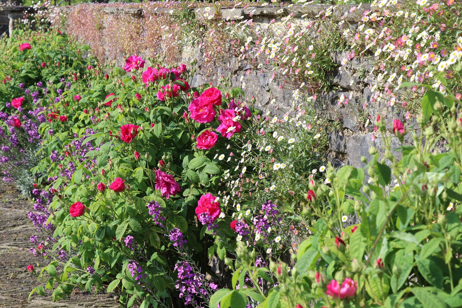 Aberglasney Wales (9)