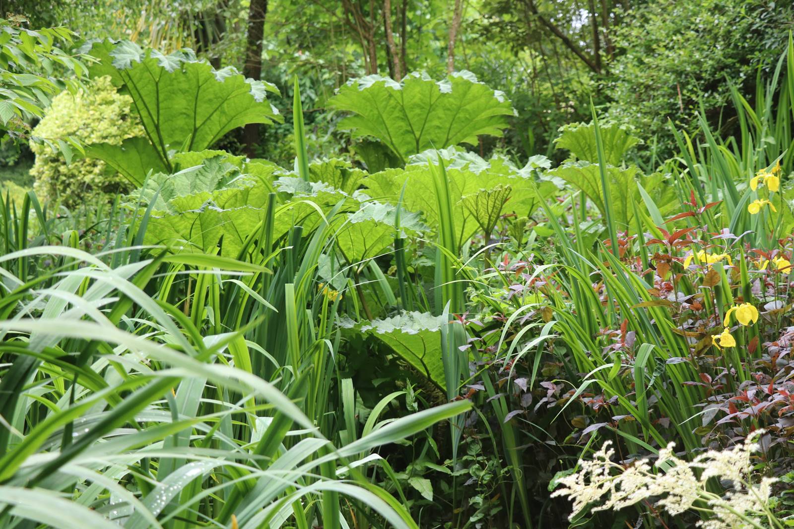 Dewstow Gardens Wales (20) Dewstow Gardens Wales (20)