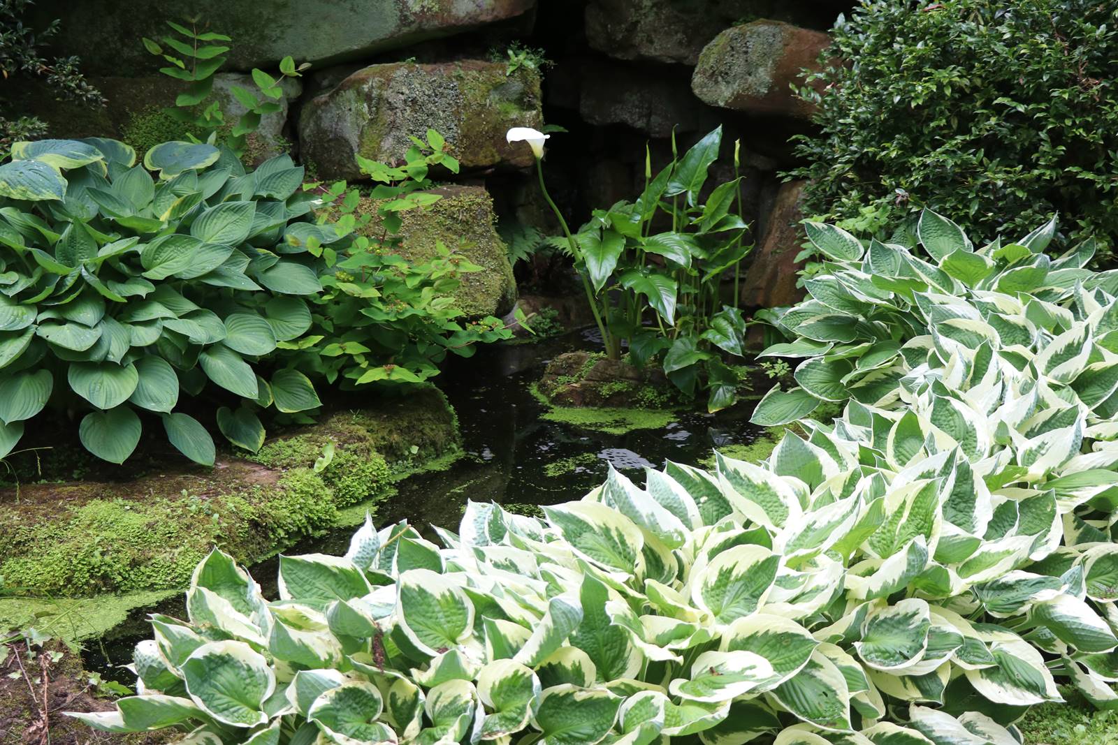 Dewstow Gardens Wales (22) Dewstow Gardens Wales (22)