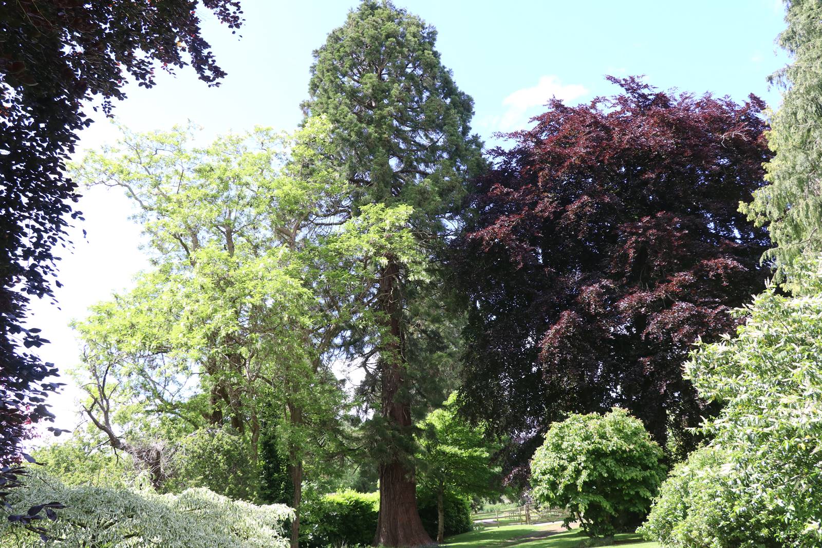 Dewstow Gardens Wales (24) Dewstow Gardens Wales (24)