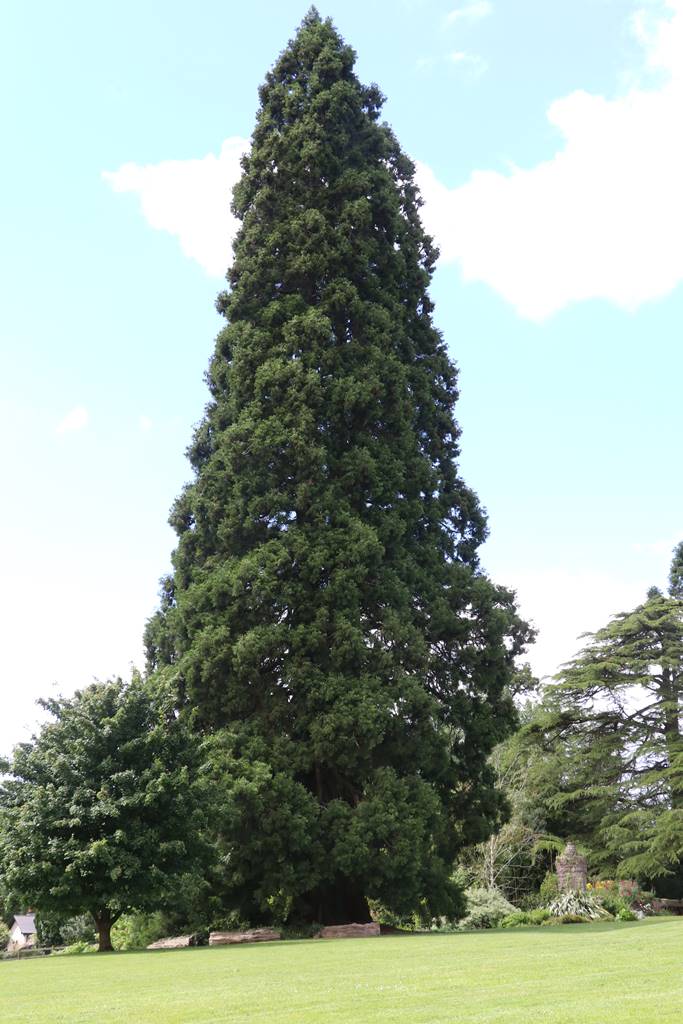 Dewstow Gardens Wales (27) Dewstow Gardens Wales (27)