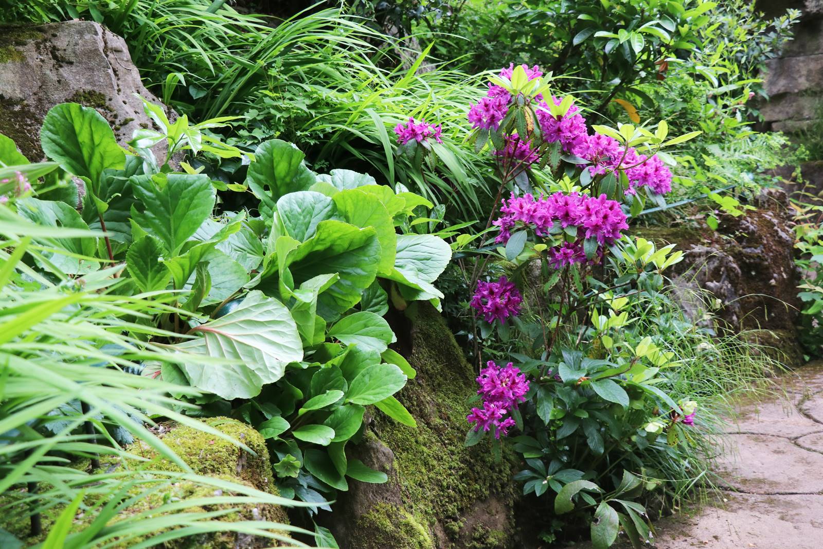 Dewstow Gardens Wales (3) Dewstow Gardens Wales (3)