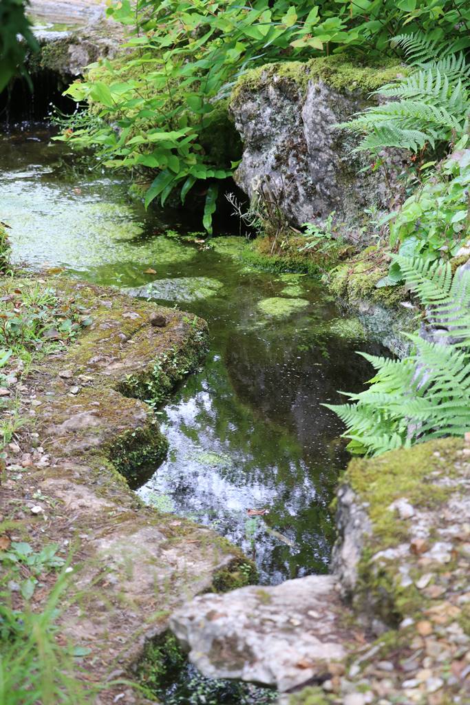 Dewstow Gardens Wales (6) Dewstow Gardens Wales (6)