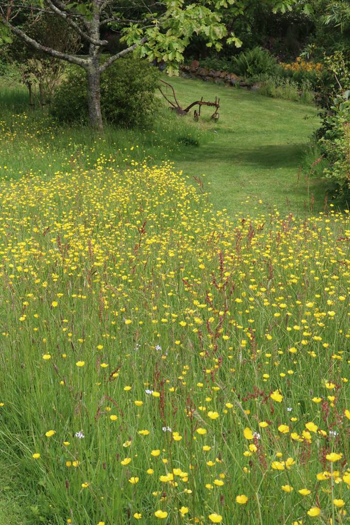 Dyffryn Fernant Wales (16)