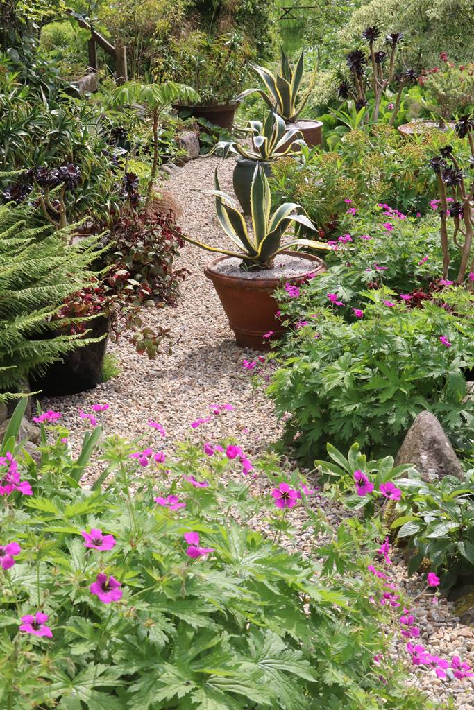 Dyffryn Fernant Wales (25)