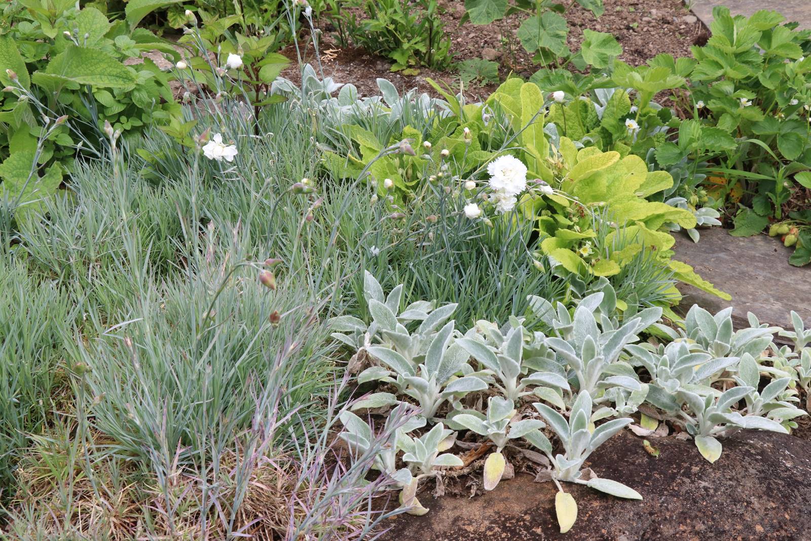 Dyffryn Fernant Wales (29)