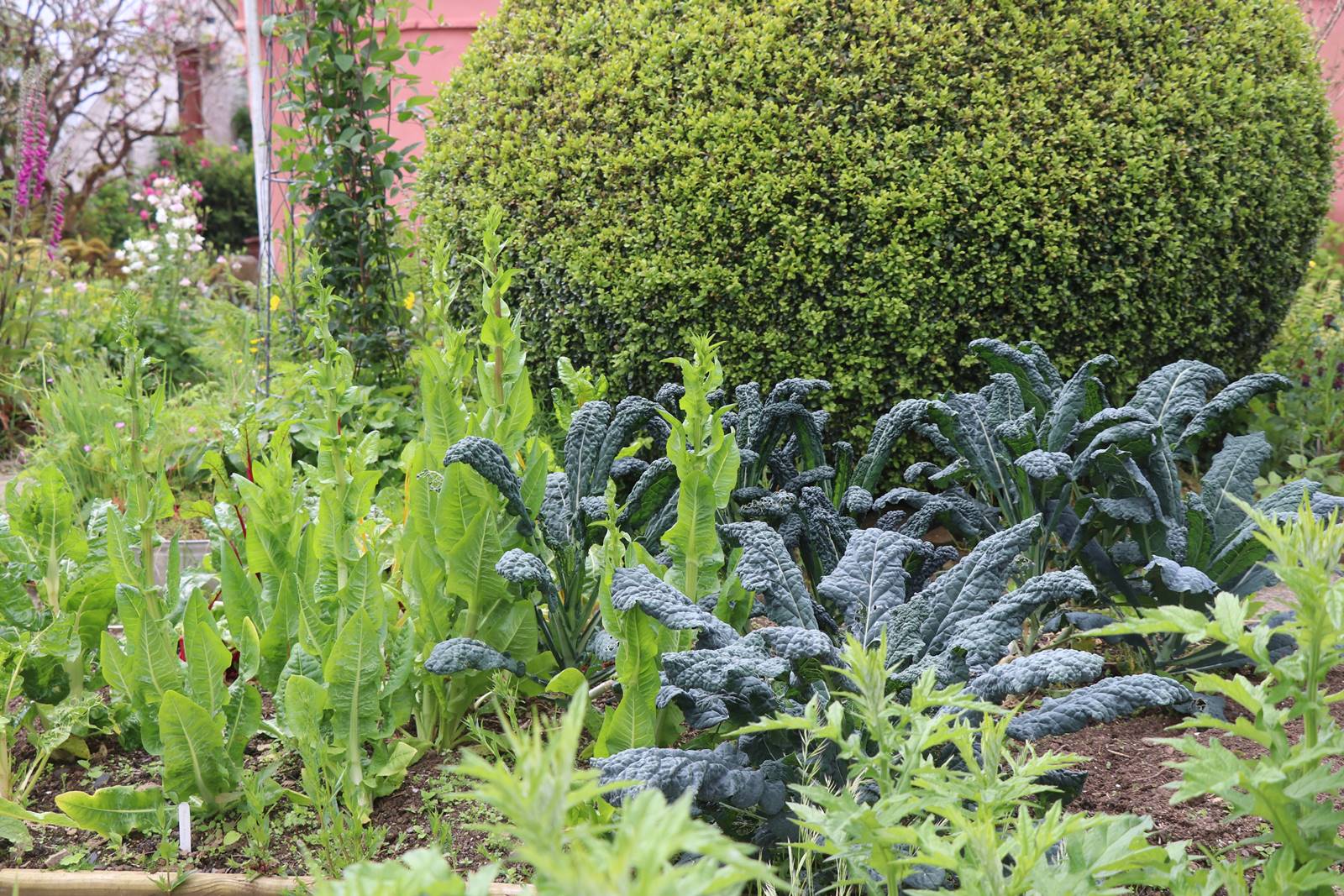 Dyffryn Fernant Wales (31)