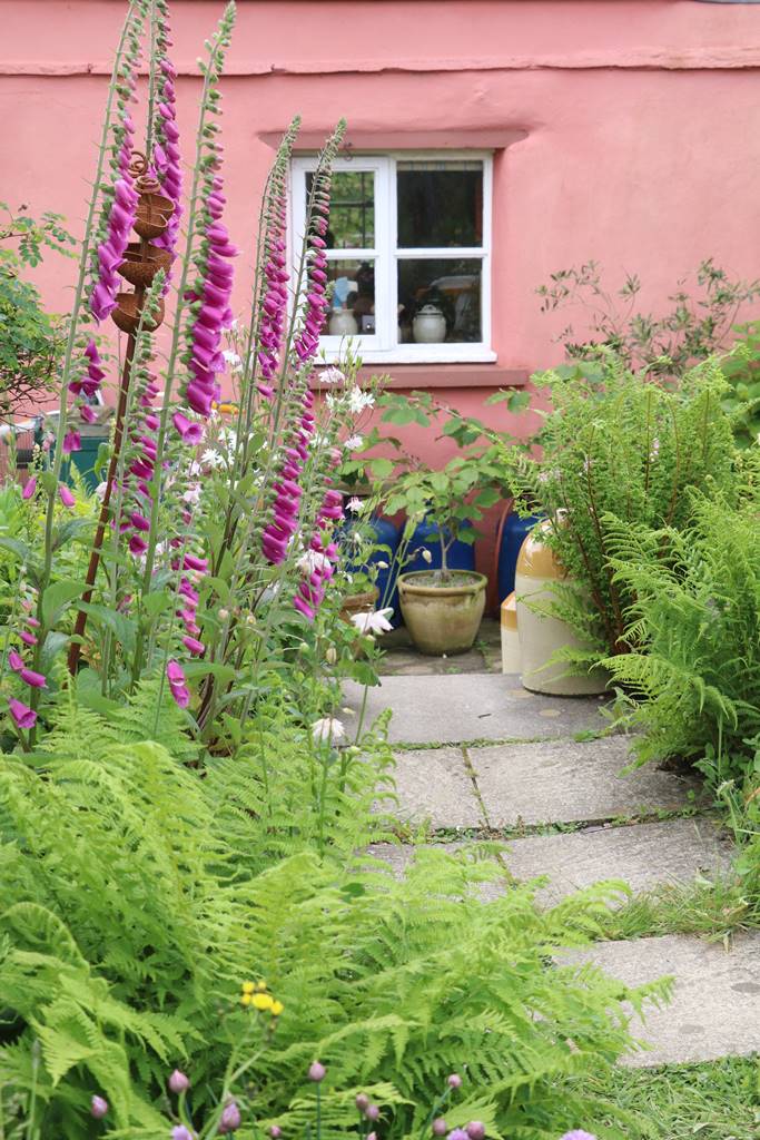 Dyffryn Fernant Wales (32)